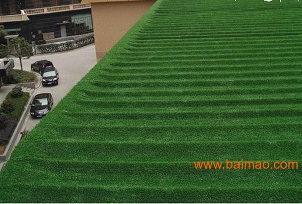  昂热主场草皮质量问题引发投诉  