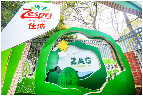  意甲联盟推行绿色球场计划减少碳排放  